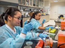 two students in science lab use pipettes to move samples to and from petri dishes